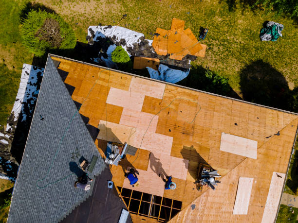 Best Shingle Roofing Installation  in Lodi, WI