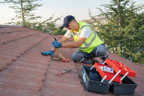 Best Roof Gutter Cleaning  in Lodi, WI